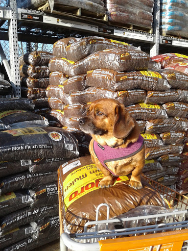 Home Improvement Store «The Home Depot», reviews and photos, 3470 North Rd, Poughkeepsie, NY 12601, USA