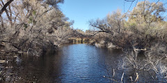 Hassayampa River Preserve