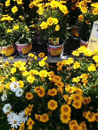 Home Improvement Store «The Home Depot», reviews and photos, 2001 Chess Dr, San Mateo, CA 94404, USA