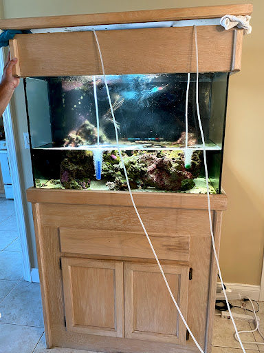 Tropical Fish Store «Hooked On Reefs», reviews and photos, 228 Hibiscus St #1, Jupiter, FL 33458, USA