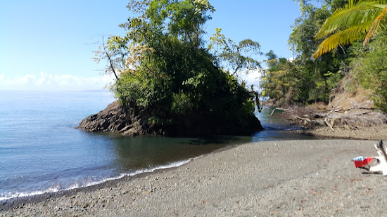 Playa Nicuesa