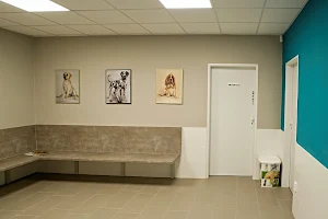 MM VET veterinary clinic image