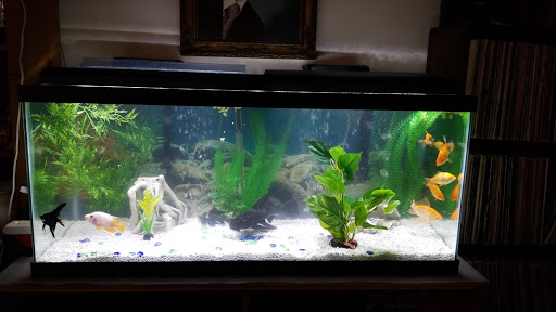 Pet Supply Store «PetSmart», reviews and photos, 9905 E Independence Blvd, Matthews, NC 28105, USA