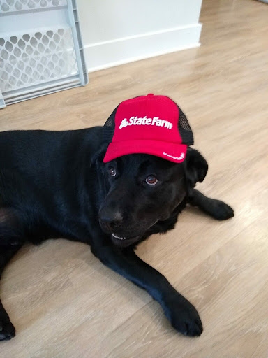 Auto Insurance Agency «State Farm: Melanie Stone», reviews and photos