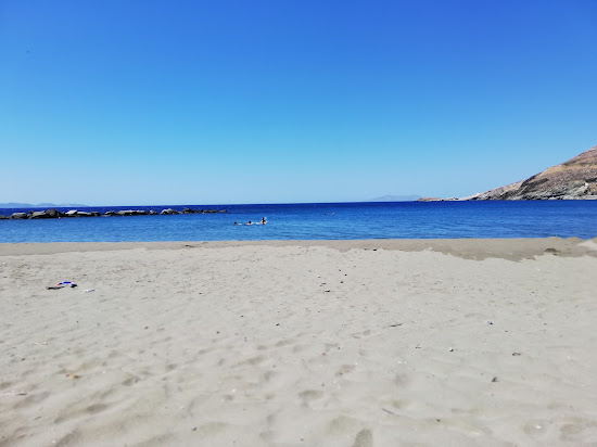 Paralia Isternion
