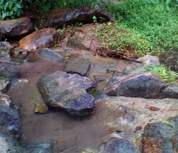 ลานรักรีสอร์ท& ครัวลานรัก นครนายก photo