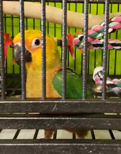 Bird Shop «Bird House», reviews and photos, 1020 NJ-18 E, East Brunswick, NJ 08816, USA