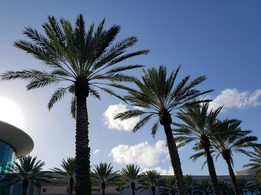 Restaurant «The Cheesecake Factory», reviews and photos, 4200 Conroy Rd, Orlando, FL 32839, USA