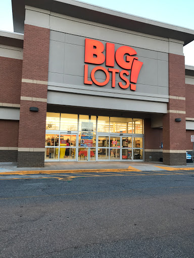 Big Lots, 610 Holcomb Bridge Rd #300, Roswell, GA 30076, USA, 