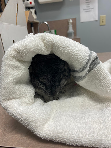 Pet Supply Store «PetSmart», reviews and photos, 1417 W Interstate 240 Service Rd, Oklahoma City, OK 73159, USA