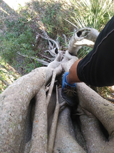 Water Park «Splash Adventure Water Park», reviews and photos, Quiet Waters Park Dr, Deerfield Beach, FL 33442, USA