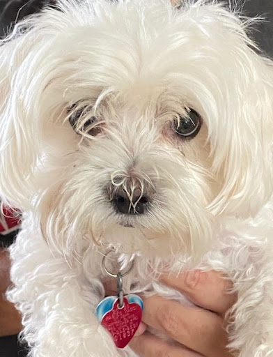 Shopping Mall «Crossroads Shopping Center», reviews and photos, 1525 U.S. 41, Schererville, IN 46375, USA