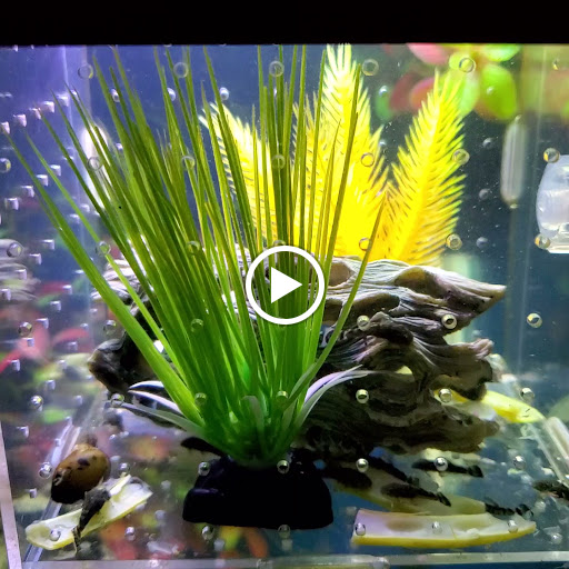 Pet Supply Store «Pet Supermarket, Inc.», reviews and photos, 1052 Peachtree Industrial Blvd, Suwanee, GA 30024, USA