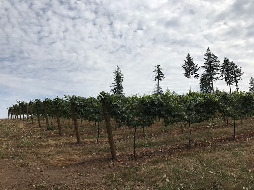 Winery «Noble Estate Vineyard and Winery», reviews and photos, 29210 Gimpl Hill Rd, Eugene, OR 97402, USA
