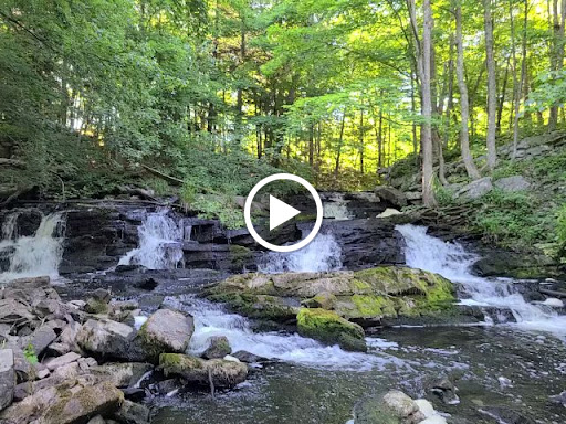 Nature Preserve «John Burroughs Slabsides», reviews and photos, Burroughs Dr, West Park, NY 12493, USA