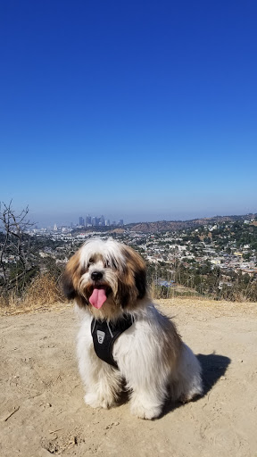 Park «Ernest E. Debs Regional Park», reviews and photos, 4235 Monterey Rd, Los Angeles, CA 90032, USA