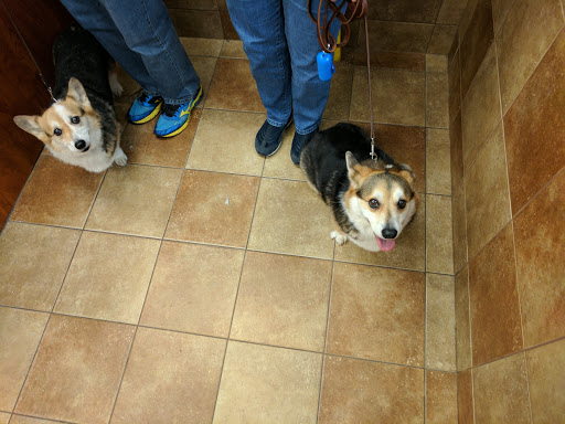 Pet Supply Store «PetSmart», reviews and photos, 8111 Brier Creek Pkwy, Raleigh, NC 27617, USA