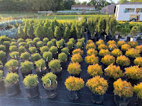 Iniesta Nursery & landscape - Photo 2 - Car repair in Bristol, IN, Elkhart