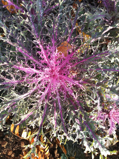 Market «Indianapolis City Market», reviews and photos, 222 E Market St, Indianapolis, IN 46204, USA