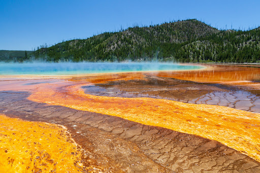 Yellowstone Safari Co, 1404 Gold Ave, Bozeman, MT 59715