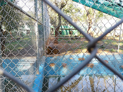 Asunción Zoo