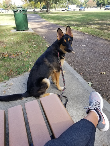 Public Golf Course «Audubon Park Golf Course», reviews and photos, 4160 Park Ave, Memphis, TN 38117, USA