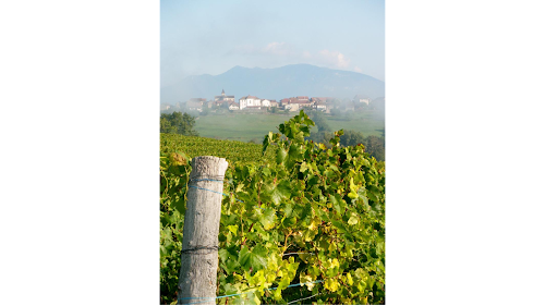Viticulteur & Producteur de Vin dans le Bugey - Caveau Dufour à Massignieu-de-Rives