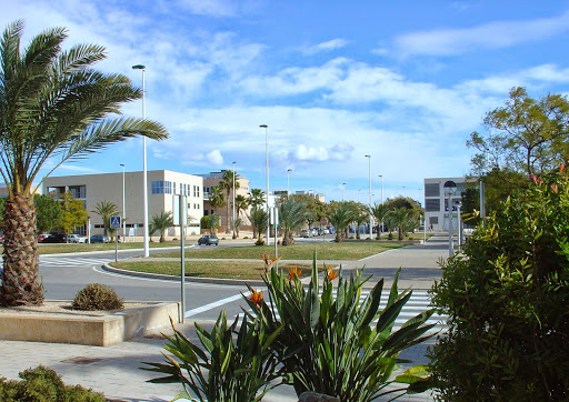 Parques empresariales Alicante