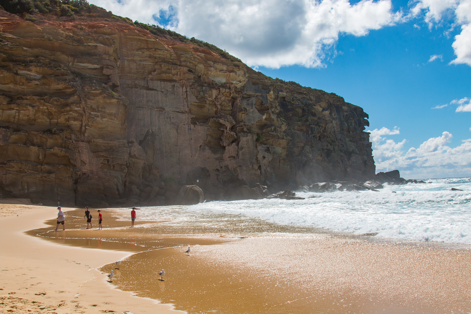 Redhead Beach photo #4