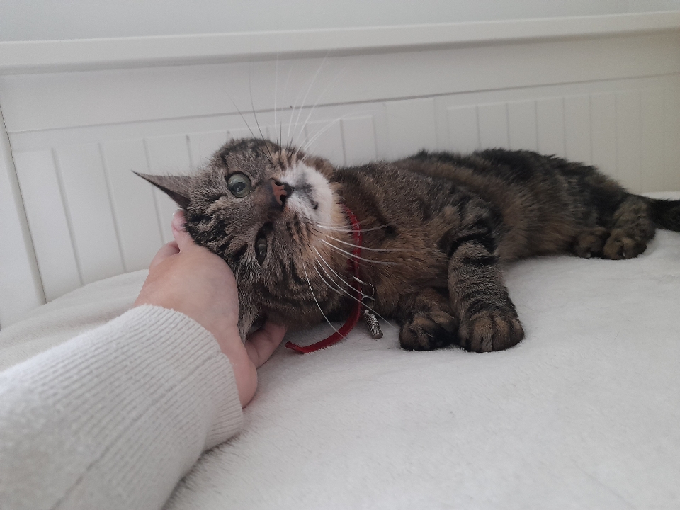 Photo n° 1 de l'avis de Amélie.l fait le 29/06/2021 à 17:40