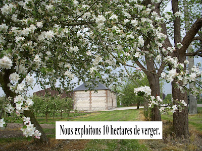 La Grange Fruitière à Le Mesnil-sous-Jumièges