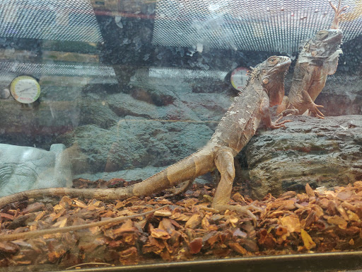 Pet Supply Store «Petco Animal Supplies», reviews and photos, 10 Sylvan St, Peabody, MA 01960, USA