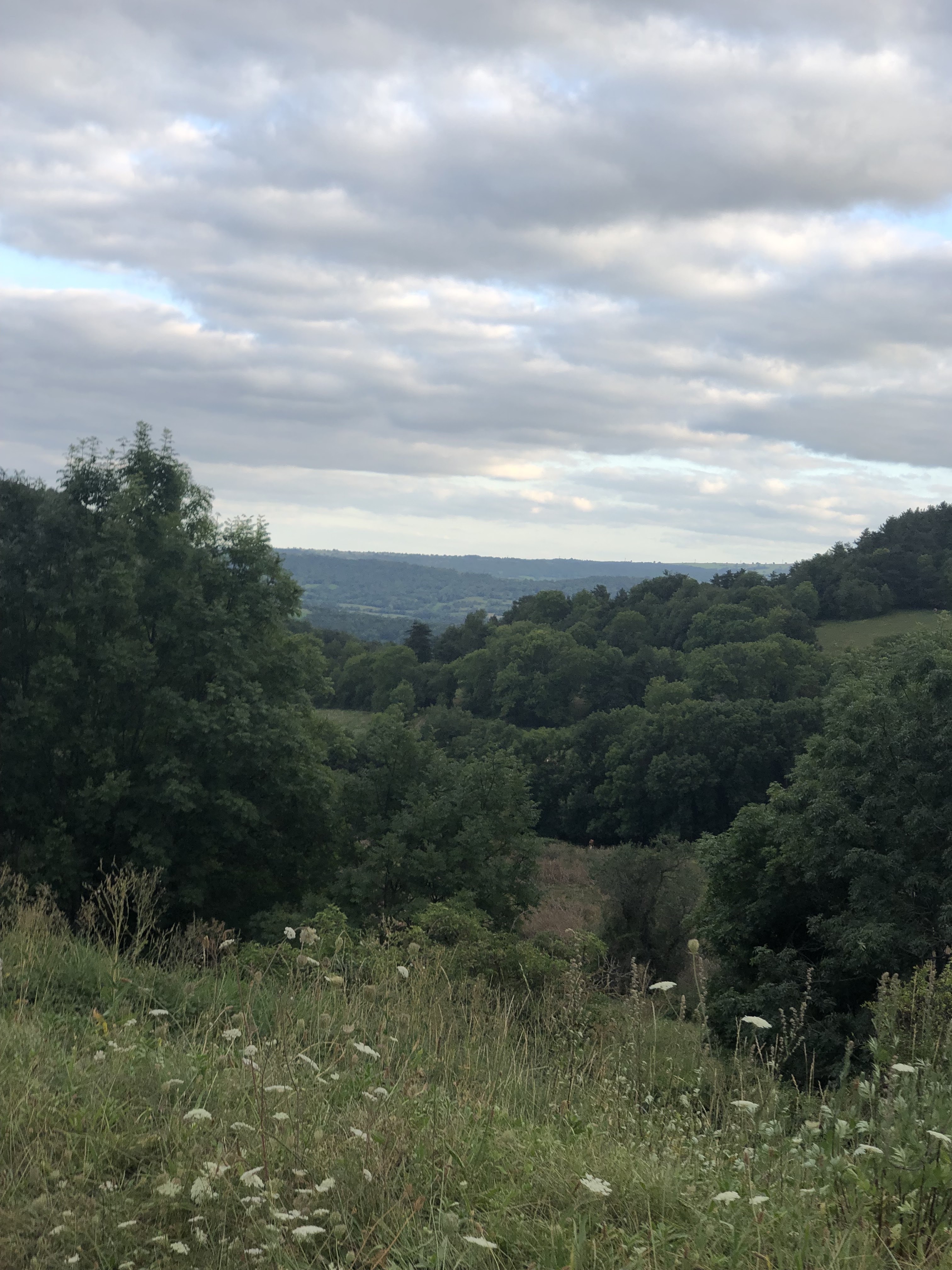 Photo n° 2 de l'avis de -.r fait le 27/08/2021 à 18:20