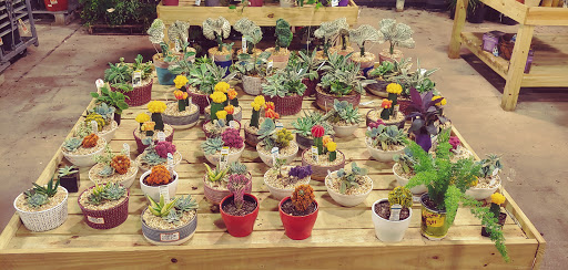 Home Improvement Store «The Home Depot», reviews and photos, 1651 S Poinciana Blvd, Kissimmee, FL 34758, USA