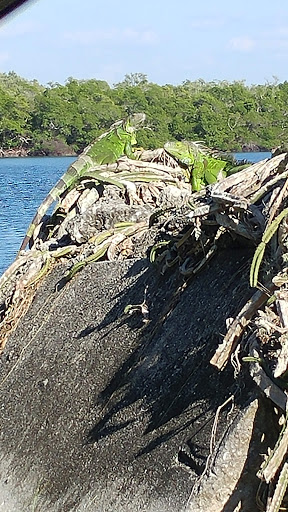 Museum «Mound House», reviews and photos, 451 Connecticut St, Fort Myers Beach, FL 33931, USA