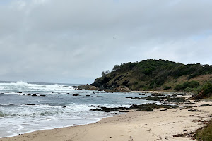 Harry's Lookout