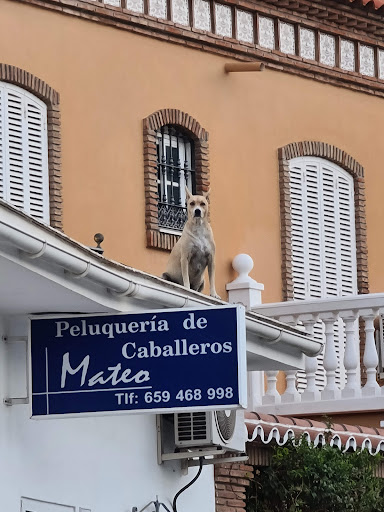 Peluquería de Caballeros  Mateo en Málaga, Málaga