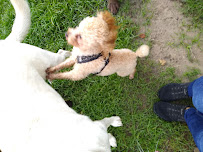 South Paws In-Home Pet Sitter - Photo 5 - Car repair in , Winter Haven