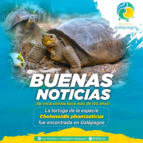 Agencia de Viajes Discovering Galapagos
