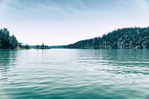 Real Estate Agency «Marshall Realty», reviews and photos