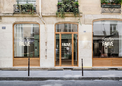 Studio Fauve à Paris