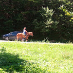 Photo n°6 de l'avis de Daniele.g fait le 12/08/2019 à 18:49 sur le  La Tana Del Lupo à Riolunato