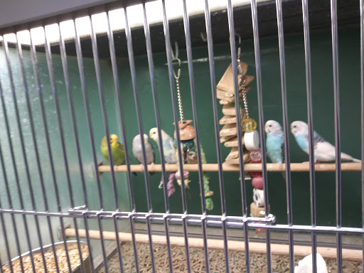 Pet Supply Store «Pet Club Santa Rosa», reviews and photos, 1935 Santa Rosa Ave, Santa Rosa, CA 95407, USA