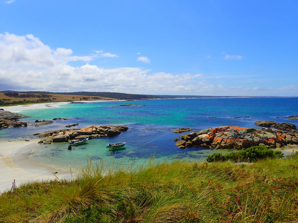 Koala Rock Beach photo #7