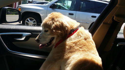 Carol's Pet Grooming Salon