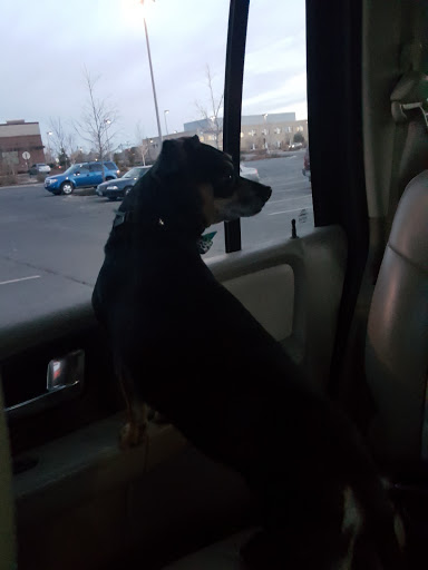 Pet Supply Store «Petco Animal Supplies», reviews and photos, 1265 Sergeant Jon Stiles Dr f, Highlands Ranch, CO 80129, USA