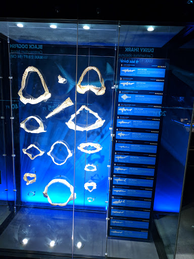 Museum «Portland Science Center», reviews and photos, 68 Commercial St, Portland, ME 04101, USA