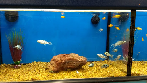 Pet Supply Store «Petco Animal Supplies», reviews and photos, 3731 Gateway Dr, Eau Claire, WI 54701, USA