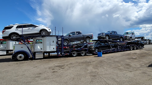 Auto Auction «Manheim Detroit», reviews and photos, 600 Will Carleton Rd, Carleton, MI 48117, USA