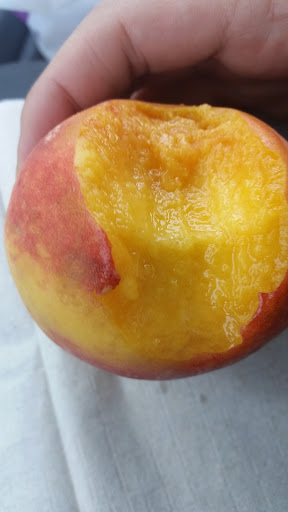 Florist «Woodmere Florist Ltd», reviews and photos, 1106 Broadway, Woodmere, NY 11598, USA